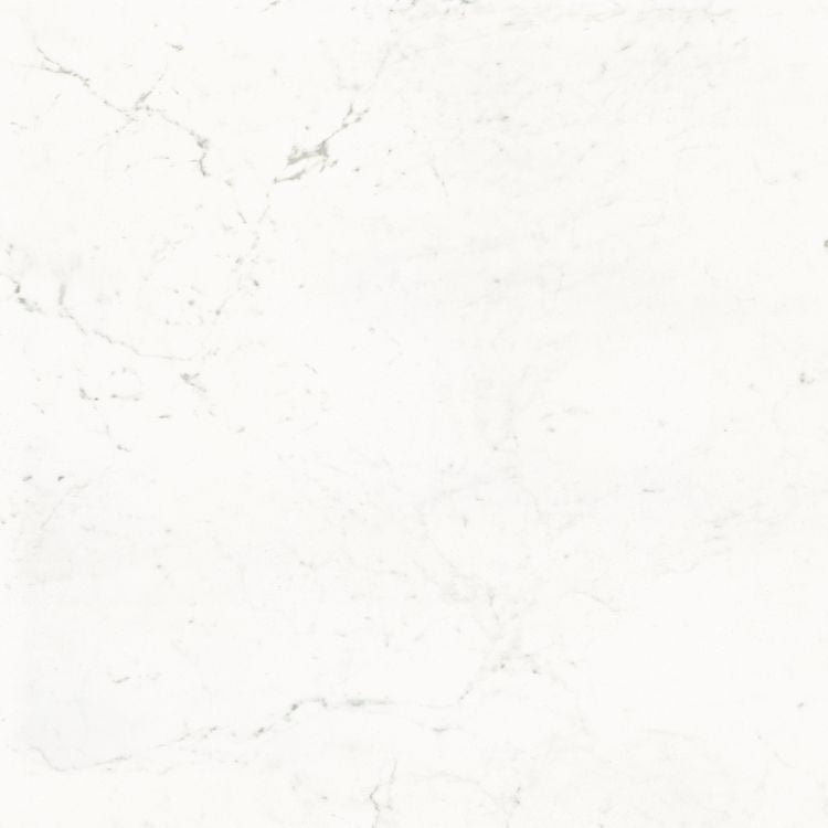 Pure Carrara Nat 48 x 48