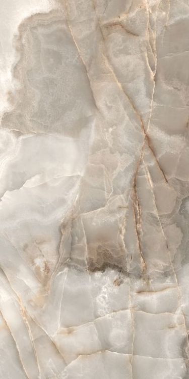 Reves Noisette Glossy 12 x 24 - Hexagon Interiors