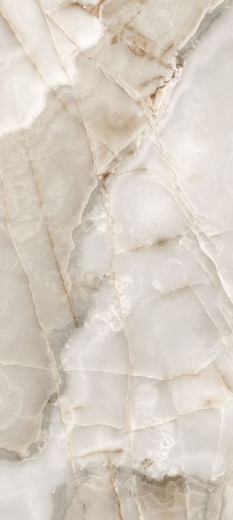 Reves Noisette Glossy 32 x 71