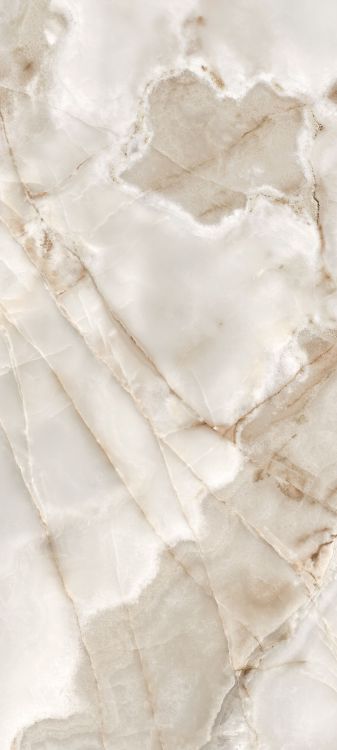 Reves Noisette Glossy 32 x 71