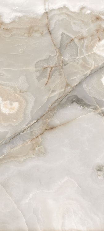 Reves Noisette Glossy 32 x 71