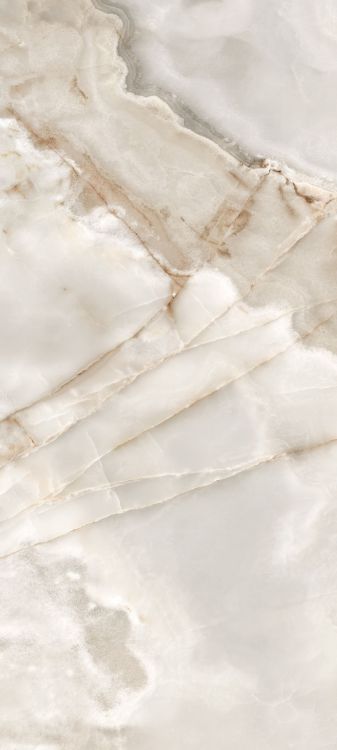 Reves Noisette Glossy 32 x 71