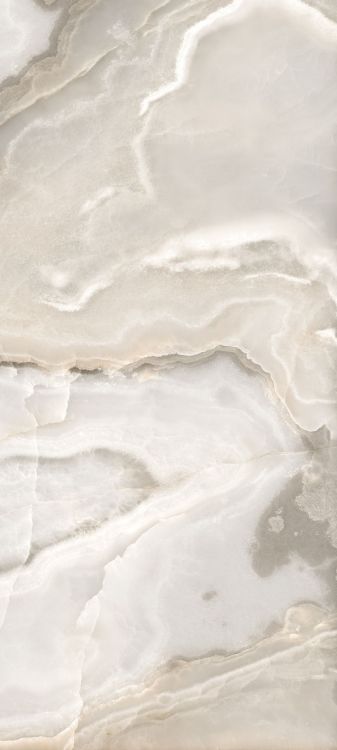 Reves Noisette Glossy 32 x 71 - Hexagon Interiors