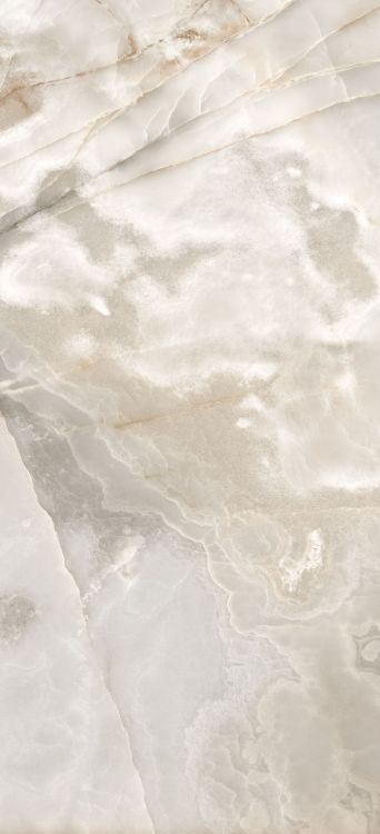 Reves Noisette Glossy 32 x 71