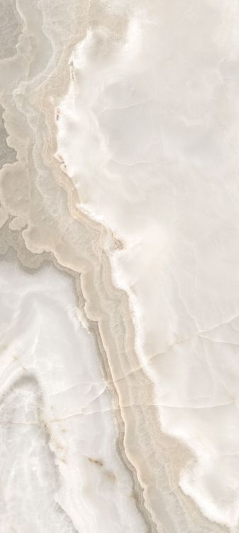 Reves Noisette Glossy 32 x 71