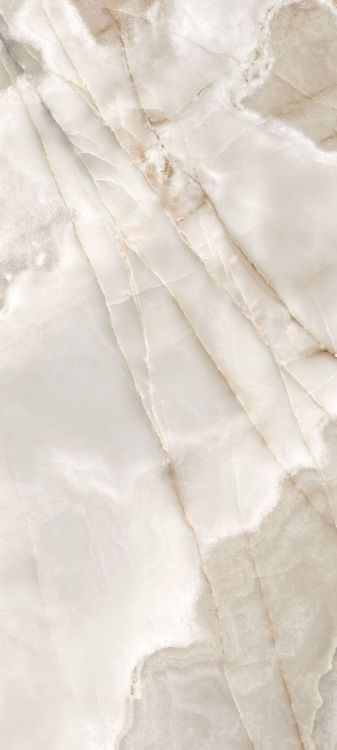 Reves Noisette Glossy 32 x 71