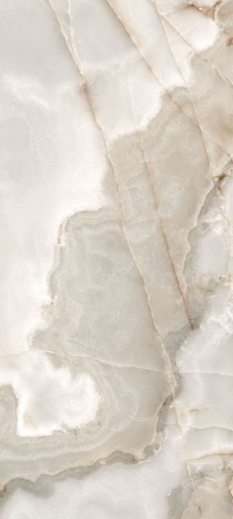 Reves Noisette Glossy 32 x 71