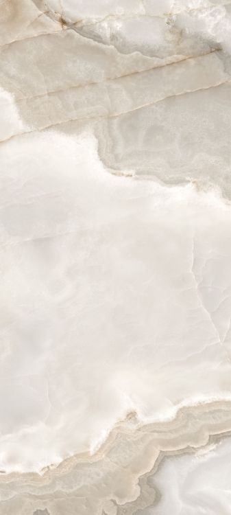 Reves Noisette Glossy 32 x 71