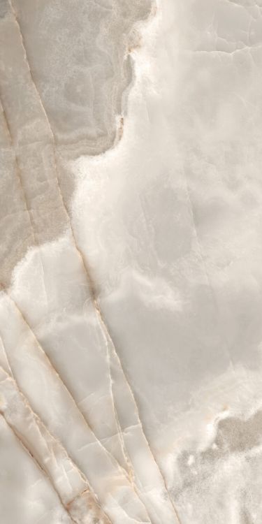 Reves Noisette Matte 12 x 24