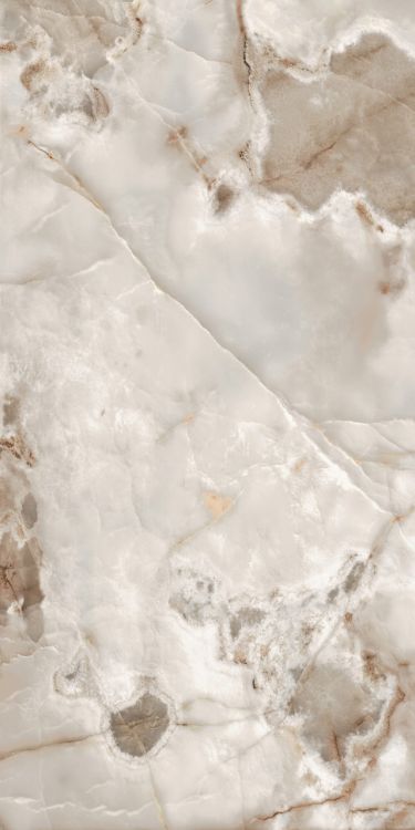 Reves Noisette Matte 12 x 24