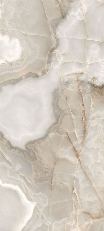 Reves Noisette Matte 32 x 71 - Hexagon Interiors