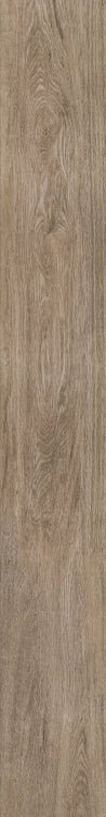 Selection Oak Amber 6 x 48