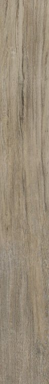 Selection Oak Amber 6 x 48