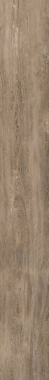 Selection Oak Amber 6 x 48