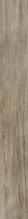 Selection Oak Amber 6 x 48