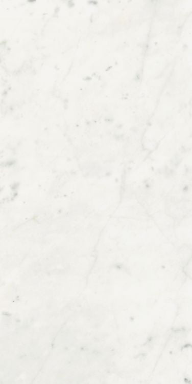 Stontech Stone.01 Glossy 24 x 48 - Hexagon Interiors