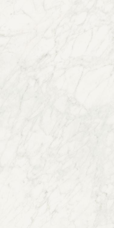 Stontech Stone.01 Matte 24 x 48 - Hexagon Interiors