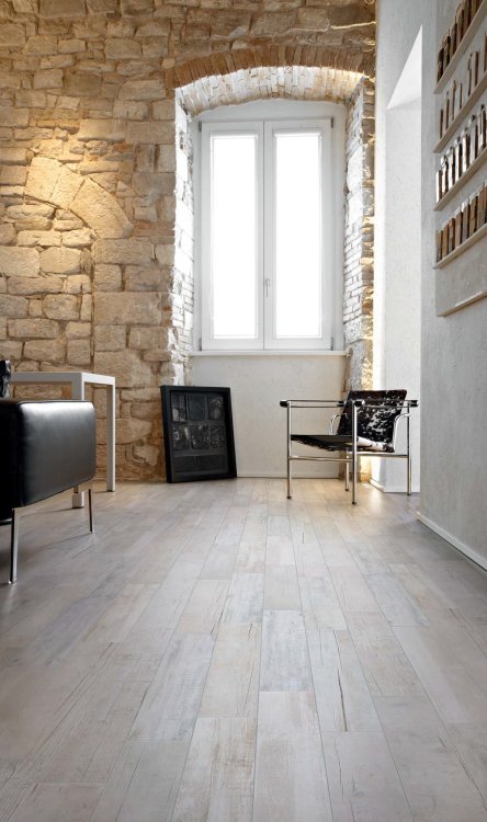 Taiga Host 6 x 36 - Hexagon Interiors