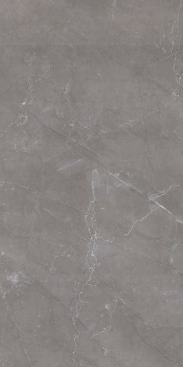 Tekali Gris Polished 24 x 48