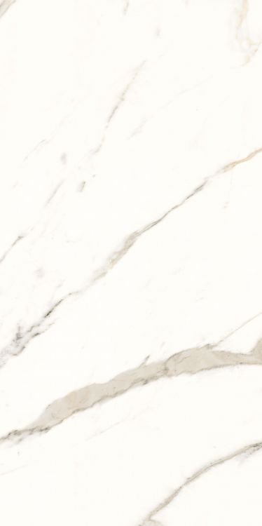 Trilogy Calacatta White Lux 24 x 48