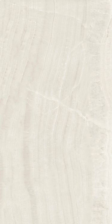 Trilogy Onyx Light Lux 24 x 48 - Hexagon Interiors