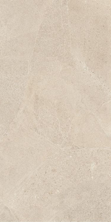 Tune Desert 24 x 48 - Hexagon Interiors